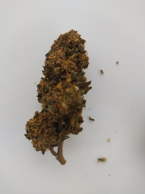 WATERMELON ≈ 7 % CBD                 